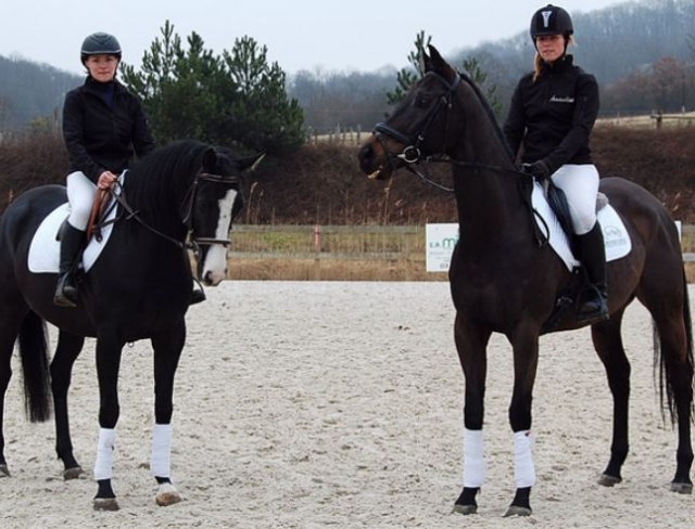  Los monitores del centro ecuestre 